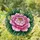Women's Stained Glass Tiffany Style Peony Fuchsia Pink Golden Yellow Emerald Green Intricate Botanical Mosaic Stained Glass Suncatcher - 1