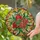 Botanical Art Lovers' Vibrant Tiffany Stained Glass Pomegranate Jewel Tone Mosaic Edge-to-Edge Art Stained Glass Suncatcher - 2