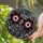 Alternative Style Lovers' Detailed Stained Glass Macabre Eyeball Flowers & Thorny Stems Stained Glass Suncatcher - 2