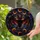 Gothic Style Fans' Intricate Tiffany Stained Glass Bat Glowing Red Eyes Celestial Swirls Black Red Amber Stained Glass Suncatcher - 2
