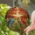 Nature Lovers' Tiffany Style Stained Glass Songbirds Autumn Jewel Tone Mosaic Stained Glass Suncatcher - pqUOMBK96j
