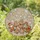 Holiday Enthusiasts' Cheerful Stained Glass Gingerbread Cookie Mosaic, Red & Gold Tiffany Style Knit Background Stained Glass Suncatcher - dOIjM3ppmU
