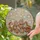 Holiday Enthusiasts' Cheerful Stained Glass Gingerbread Cookie Mosaic, Red & Gold Tiffany Style Knit Background Stained Glass Suncatcher - xwgdNMHT4T