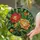 Art Lovers' Fiery Orange Red Yellow Cream Green Tiffany Stained Glass Peony Floral Mosaic Stained Glass Suncatcher - 2