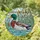 Nature Lovers' Emerald Mallard Duck Tiffany Stained Glass Aquatic Reeds Mosaic Pattern Stained Glass Suncatcher - 1