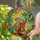 Nature Lovers' Vibrant Jewel Tone Tiffany Stained Glass Coiled Snake Lush Leaves Mosaic Stained Glass Suncatcher - 2