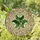Art Nouveau Fans' Emerald Shamrock Tiffany Stained Glass Intricate Organic Floral Mosaic Pattern Stained Glass Suncatcher - 1