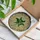 Art Nouveau Fans' Emerald Shamrock Tiffany Stained Glass Intricate Organic Floral Mosaic Pattern Stained Glass Suncatcher - 3