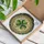 Intricate Art Lovers Vibrant Emerald Green Three-Leaf Shamrock Tiffany-Style Stained Glass Mosaic with Amber, Cream Tones & Floral Details Stained Glass Suncatcher - 3