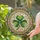 Intricate Art Lovers Vibrant Emerald Green Three-Leaf Shamrock Tiffany-Style Stained Glass Mosaic with Amber, Cream Tones & Floral Details Stained Glass Suncatcher - 2
