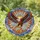 Wildlife Art Enthusiasts' High Contrast Stained Glass Eagle Snake Vibrant Jewel Tones Mosaic Art Stained Glass Suncatcher - 1