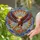 Wildlife Art Enthusiasts' High Contrast Stained Glass Eagle Snake Vibrant Jewel Tones Mosaic Art Stained Glass Suncatcher - 2