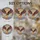 Wildlife Art Enthusiasts' High Contrast Stained Glass Eagle Snake Vibrant Jewel Tones Mosaic Art Stained Glass Suncatcher - 4