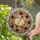 Literary Enthusiasts' Tiffany Stained Glass Open Book Rose Wreath Geometric Mosaic Stained Glass Suncatcher - 6lWpcBkIVs