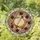 Literary Enthusiasts' Tiffany Stained Glass Open Book Rose Wreath Geometric Mosaic Stained Glass Suncatcher - glDLnybaJj