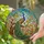 Artisan Style Enthusiasts' Tiffany Stained Glass Peacock Floral Garden Jewel Tone Pattern Stained Glass Suncatcher - 2