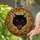 Mystical Art Fans' Fierce Black Cat Fiery Red Eyes Stained Glass Autumn Foliage Mosaic Stained Glass Suncatcher - 2