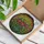 Floral Art Lovers' Radiant Protea Bouquet Tiffany Stained Glass Floral Mosaic Jewel Tones Red Pink Green Stained Glass Suncatcher - 3