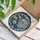 Nature Art Lovers' Intricate Tiffany Style Stained Glass Winter Moon Frosted Evergreen Design Stained Glass Suncatcher - 3