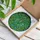 Nature Lovers' Luna Moth Tiffany Stained Glass Green Teal Yellow Foliage Mosaic Art Stained Glass Suncatcher - TyFYLazMLT