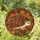 Nature Lovers' Vibrant Stained Glass Hedgehog Autumnal Jewel Tone Forest Mosaic Stained Glass Suncatcher - 1