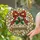Holiday Celebrators' Tiffany Stained Glass Christmas Bell Mosaic with Red Bow, Green Holly & Golden Tones Stained Glass Suncatcher - 2