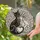 Cat Lovers' Intricate Stained Glass Feline Embrace Heart Tails Black Grey Beige Mosaic Pattern Stained Glass Suncatcher - 2