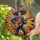 Festive Cultural Art Lovers' Stained Glass Mariachi Skeleton Calavera Blue Suit Fiery Orange Guitar Golden Mosaic Stained Glass Suncatcher - 2