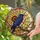 Art Enthusiasts' Tiffany Style Iridescent Crow Celestial Sunflower Stained Glass Mosaic Stained Glass Suncatcher - AiULkAkizS