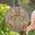 Art Lovers' Tiffany Stained Glass Whimsical Pumpkin Iridescent Peach Aqua Gold Mosaic Swirls Stained Glass Suncatcher - 2