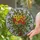 Nature Lovers' Tiffany Stained Glass Floral Mosaic Yellow Orange Green Jewel Tone Botanical Art Stained Glass Suncatcher - 2