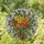 Nature Lovers' Tiffany Stained Glass Floral Mosaic Yellow Orange Green Jewel Tone Botanical Art Stained Glass Suncatcher - 1
