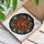 Nature Lovers' Tiffany Stained Glass Rose Mosaic Intricate Floral Geometric Pattern Vibrant Jewel Tones Stained Glass Suncatcher - r7om3fg563