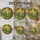 Dinosaur Lovers' Majestic Stained Glass Triceratops Prehistoric Jungle Emerald Golden Amber Tiffany Art Stained Glass Suncatcher - 4