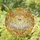 Art Lovers' Luminous Gold Amber Tiffany Stained Glass Swans Heart Butterfly Rose Motif Stained Glass Suncatcher - 7GXJ179iz-