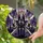 Gothic Art Enthusiasts' Tiffany Stained Glass Candelabra Spiderweb Deep Purple Red Amber Mystic Art Stained Glass Suncatcher - TFCAjL3HNi