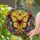 Art Lovers' Opulent Stained Glass Butterfly, Vibrant Jewel Tone Floral Mosaic Sky Pattern Stained Glass Suncatcher - 2