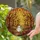Autumn Enthusiasts' Vibrant Stained Glass Orchard with Whimsical Ghost & Fall Jewel Tones Stained Glass Suncatcher - 2