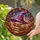 Fantasy Lovers' Jewel-Toned Tiffany Style Witch Hat, Arcane Books, Twilight Autumn Mosaic Stained Glass Suncatcher - 2