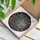 Fantasy Art Lovers' Intricate Tiffany Stained Glass Crescent Moon Celestial Flora Fungi Design Stained Glass Suncatcher - 3
