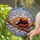 Red Panda Fans' Intricate Tiffany Style Stained Glass Cherry Blossom Pattern Stained Glass Suncatcher - 2