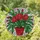 Holiday Botanical Art Lovers' Vibrant Red Green White Christmas Cactus Tiffany Stained Glass Mosaic Stained Glass Suncatcher - 1