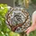 Raccoon Lovers' Tiffany Stained Glass Embracing Raccoons Tree Mosaic Amber Grey Jewel Tones Stained Glass Suncatcher - Kvpopp7zWq