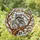Raccoon Lovers' Tiffany Stained Glass Embracing Raccoons Tree Mosaic Amber Grey Jewel Tones Stained Glass Suncatcher - MWuBj2obQD