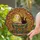 Whimsical Art Lovers' Intricate Tiffany Style Stained Glass Spirit Cat Teacup Amber Ruby Emerald Stained Glass Suncatcher - 2