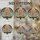 Cat Lovers' Vibrant Stained Glass Cat Christmas Tree Holiday Mosaic Pattern Stained Glass Suncatcher - 4
