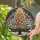Cat Lovers' Vibrant Stained Glass Cat Christmas Tree Holiday Mosaic Pattern Stained Glass Suncatcher - fqdzsw_ybx