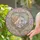 Parents' Iridescent Stained Glass Loving Couple Baby Rose Gold Peach Blue Floral Heart Mosaic Stained Glass Suncatcher - 2