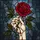 Dramatic Style Fans' Intricate Tiffany Glass Hand & Ruby Rose Jewel Tone Pattern Stained Glass Suncatcher - 5