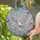 Art Lovers' Tiffany Style Stained Glass White Dove Iridescent Sky Mosaic Pearlescent Jewel Tones Stained Glass Suncatcher - 2